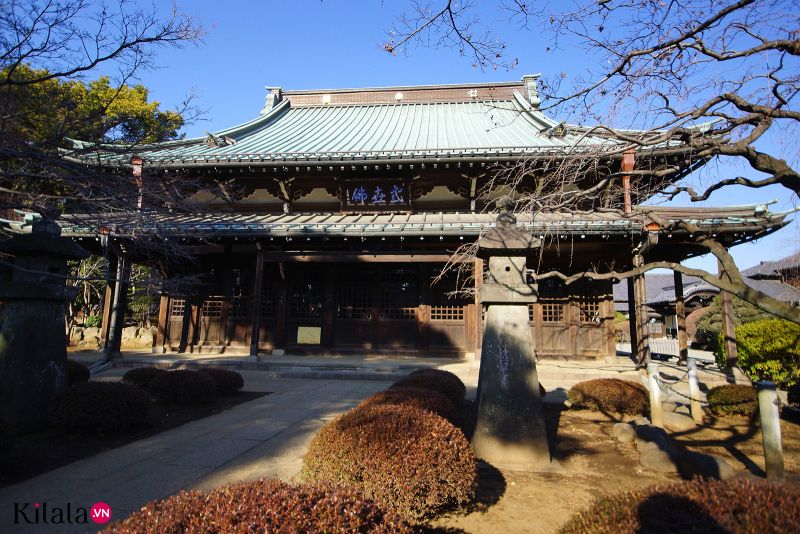 chùa mèo chiêu tài Gotokuji